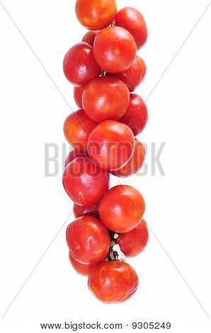 Stringa di pomodori