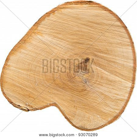 Cut of a log, birch macro