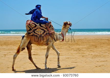 Berber On Camel