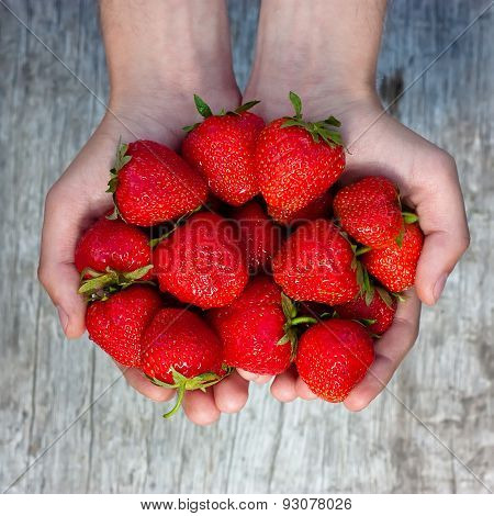 Fresh Strawberries In Male Hands