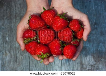 Fresh Strawberries In Male Hands