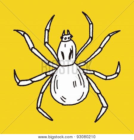 Spider Doodle