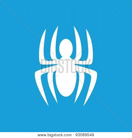 Spider icon