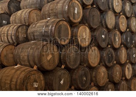 Wine barrels stacked in the old cellar of the winery.