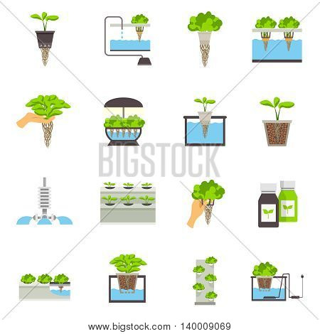 Set of color flat icons depicting elements of hydroponic system vector illustration