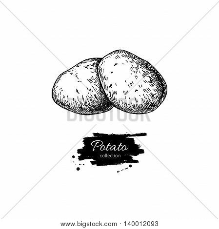 Potato vector drawing. Isolated potatoes heap. Vegetable engraved style illustration. Detailed vegetarian food sketch. Farm market product.