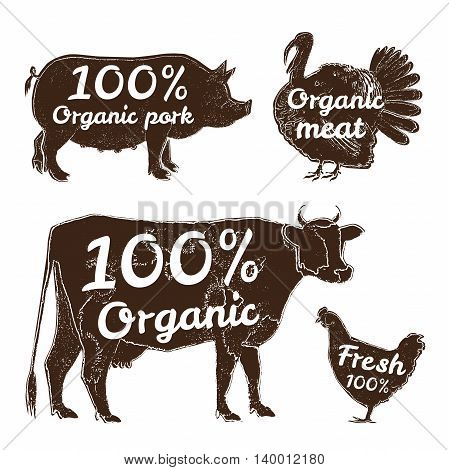 Set of farm animals isolated hand-drawn with chalk on the blackboard for markets and shops