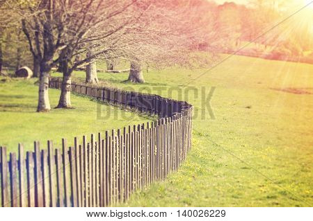 Wooden Fence with the early morning sun beams