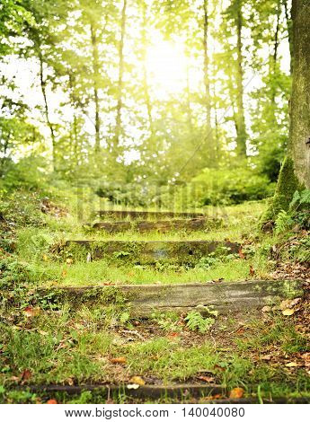 Idyllic forest path with natural steps of wood and golden sunlight with sunbeam. Way to heaven or light at the end of the tunnel. Spiritual path or nature background with copy space.