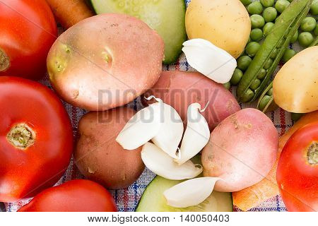 Healty Colorfull Kitchen