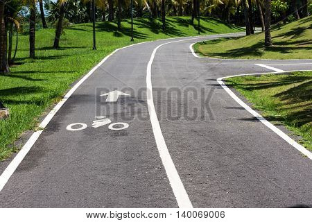 The only bike. asphalt, autumn, background, bicycle,