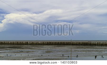 Bamboo wall protect scour from sea tide at seashore.