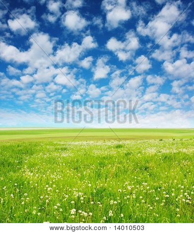 Green meadow blue sky with clouds