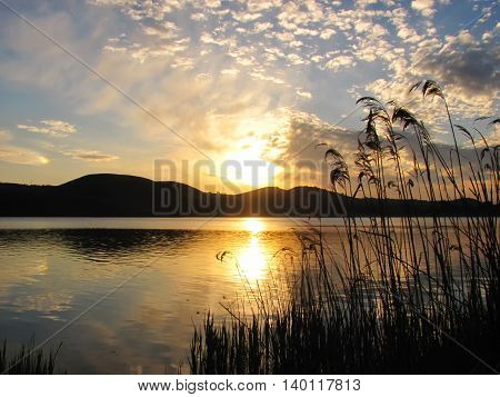 dawn over the lake and a grass in the foreground