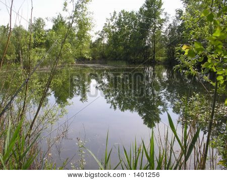 Lac de Bijeljina