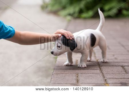 Little child care little young kid outdoor closeup