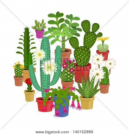 Vector illustration set of blooming flowers home cactus in pots isolated on white background.