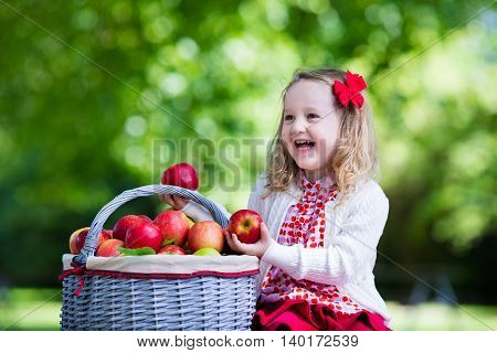 Child picking apples on a farm in autumn. Little girl playing in apple tree orchard. Kids pick fruit in a basket. Toddler eating fruits at fall harvest. Outdoor fun for children. Healthy nutrition.