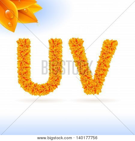 Sans serif font with orange leaf decoration on white background. U and V letters