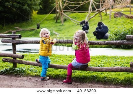 Two little kids boy and girl watch monkey show in the zoo on a cold autumn day. Children watching animals in safari park.