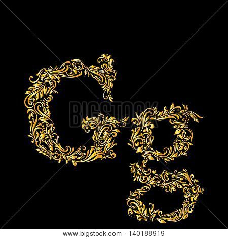 Richly decorated letter 'g' in upper and lower case on black background.