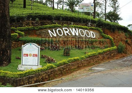 Norwood tea plantations in Nuwara Elliya,Sri Lanka