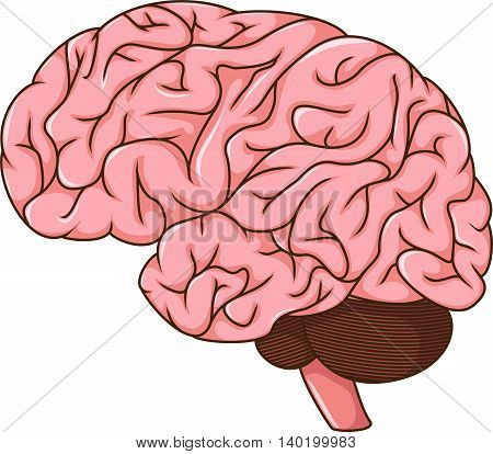 human brain clods cartoon for you design