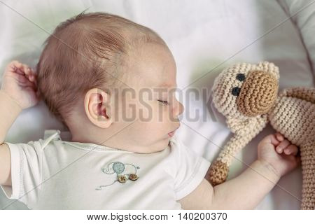Close-Up Of Cute 4-Month Newborn Baby Boy Sleeping With His Monkey Toy