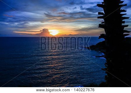Red-blue dramatic sunsets on the beach. Dark silhouettes of palm trees.