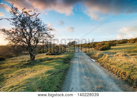 Country Lane