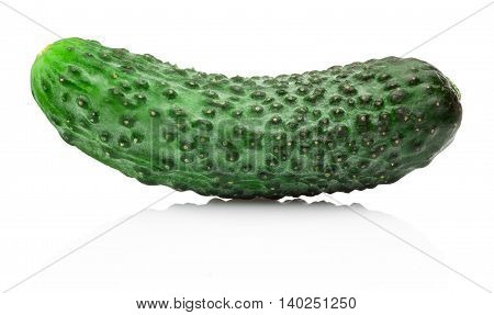 Fresh cucumber isolated on a white background