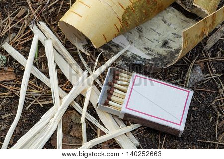 Matches And Kindling For A Fire In Field Conditions