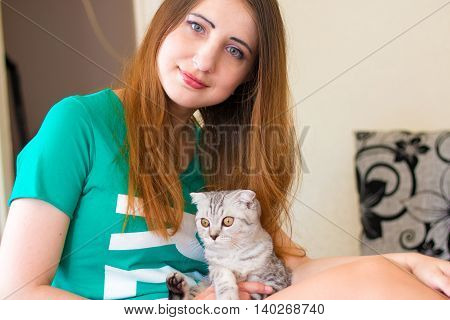 Baby cat laying on woman legs. Gray kitten, a favorite of the beautiful hostess. Morning