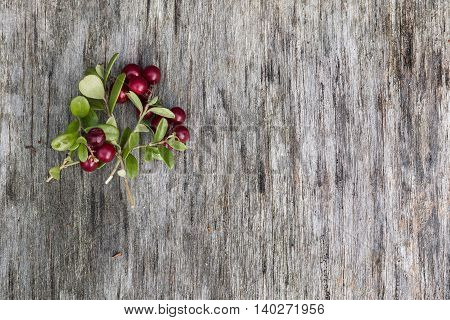 Fresh ripe cranberries with leaves lying on the old vintage wooden table. Background for nature themes. Horizontal overhead view