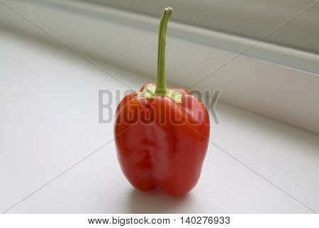 Small red bell pepper ood pepper meal bright