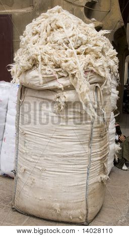 bagged ดิบขน โมร็อกโก เฟส