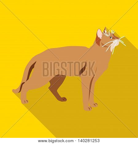 Cats Of Different Breeds With Long Shadow