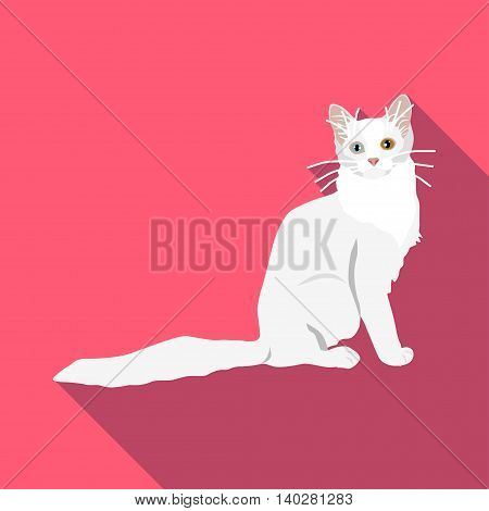 Cats Of Different Breeds With Long Shadow