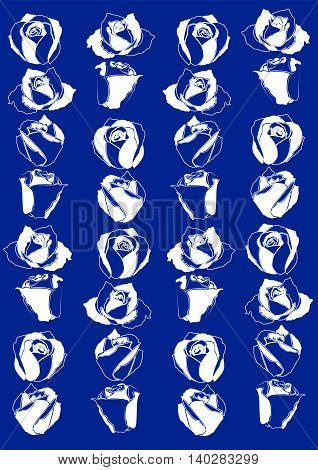 Roses, Set Icons With White Background