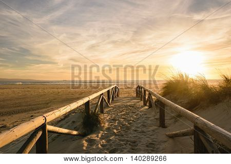 A path on sand at sunset going to the sea. The wather is beautiful with an awesome sunset with golden light and little clouds in the sky.
