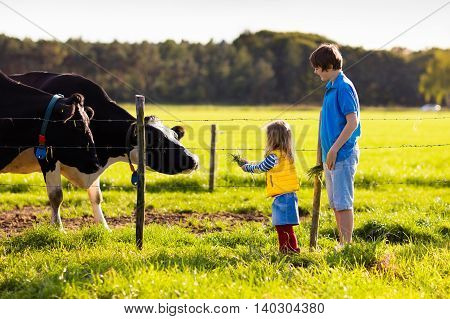 Happy kids feeding cows on a farm. Little girl and school age boy feed cow on a country field in summer. Farmer children play with animals. Child and animal friendship. Family fun in the countryside.