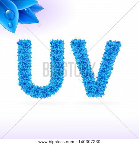 Sans serif font with blue leaf decoration on white background. U and V letters