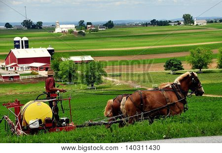 Ronks Pennsylvania - June 6 2015: Amish farmer with two horses working a field on his farm in Lancaster County