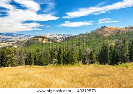 Landscape In Yellowstone National Park