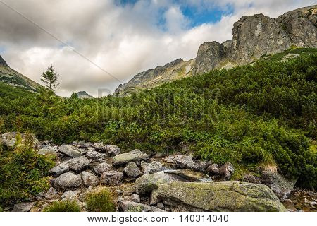 Mountain Landscape with Vegetation and Creek in Foreground on Cloudy Day. Mlynicka Valley High Tatra Slovakia.