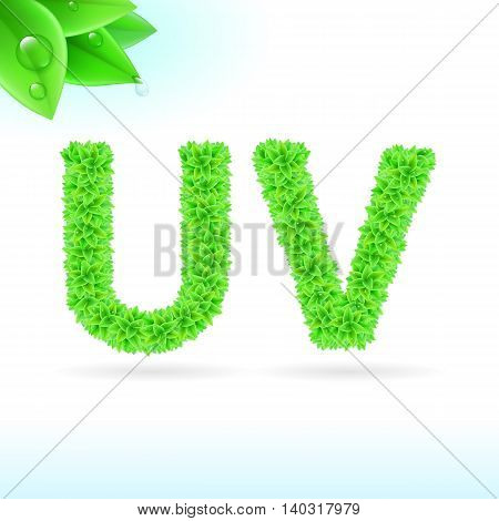 Sans serif font with green leaf decoration on white background. U and V letters