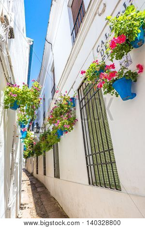 Calleja de las Flores in Barrio de la Juderia, one of the most popular and tourist streets of Cordoba, Andalusia, Spain.