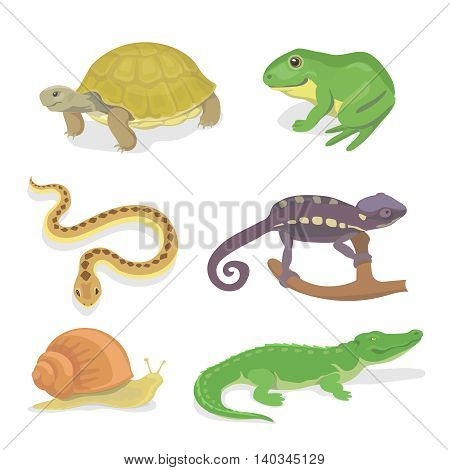Reptiles and amphibians decorative set of crocodile turtle snake chameleon icons in cartoon style isolated illustration