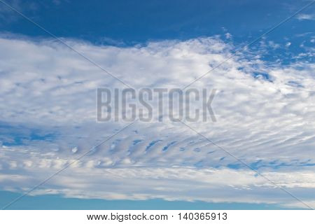Natural blue sky with altocumulus undulatus Clouds formation 