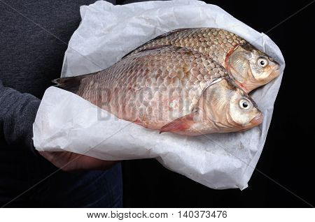 Man holding fresh crucian carp stacked on paper